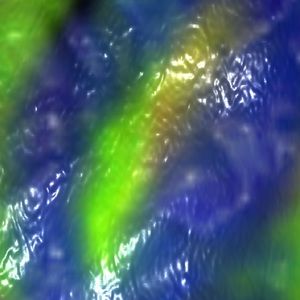 Meet your Posher, Leland